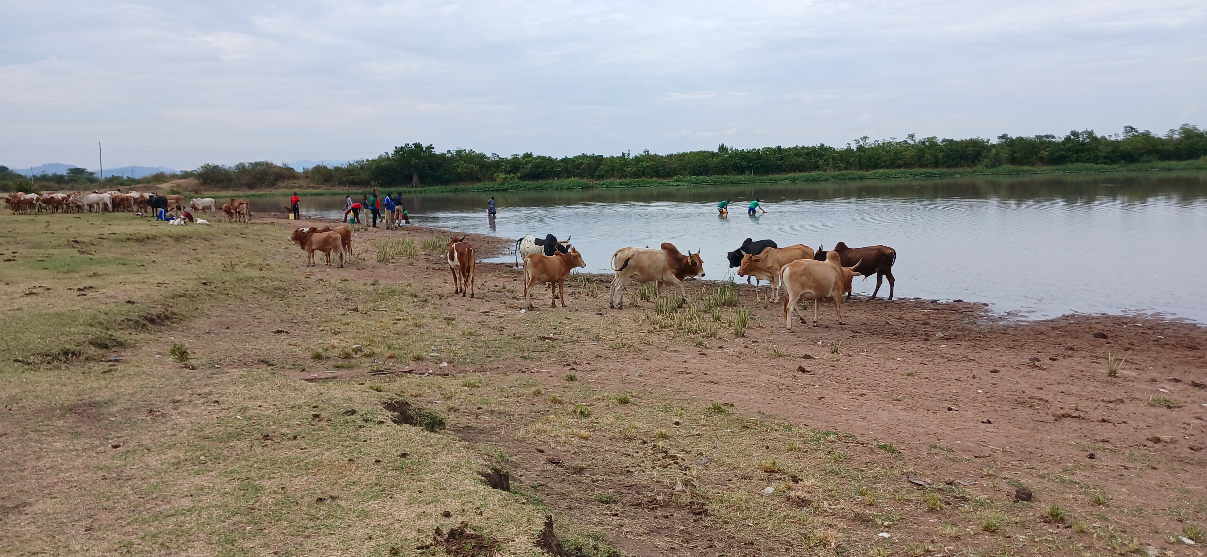 Water Project